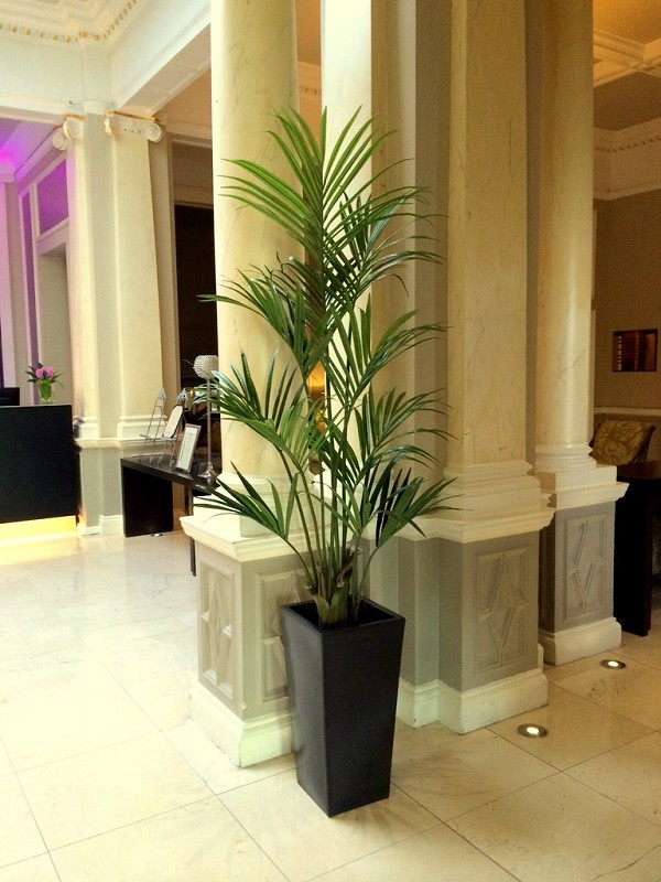 Artificial-Indoor-Plants